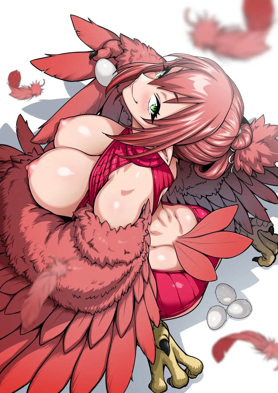 けものっ娘通信〜鳥娘ルピア